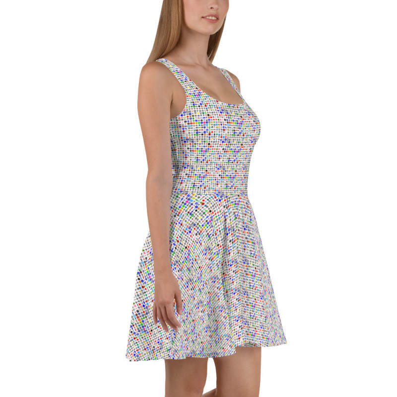 APRS Skater Dress